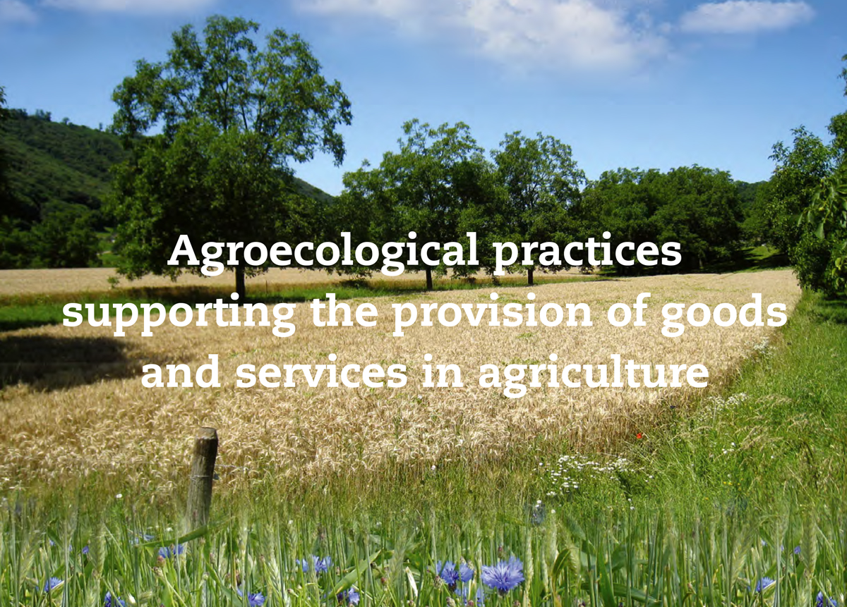 Agroecological practices