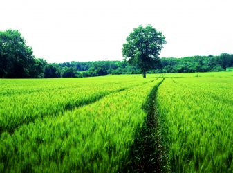 Agroecological Network of Greece initiated