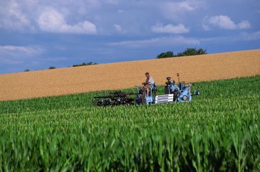 International agroecology Short course – May 2nd to 5th in Italy