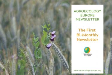 The first bi-monthly newsletter of agroecology Europe
