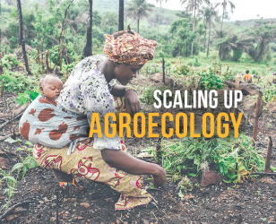 Call for nominations FAO-IFOAM
