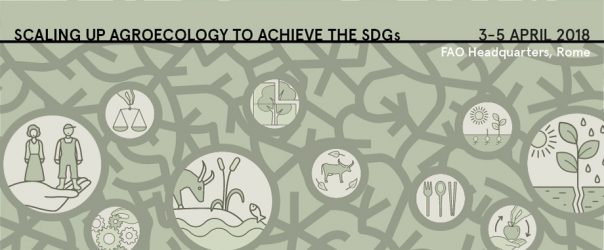 FAO’s second International Agroecology Symposium
