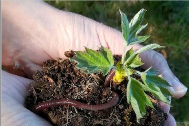 International meeting for a living agriculture in Paris, France – 20th to 24th Feb