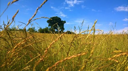Séminaire “Teaching agroecology: methods and outstanding initiatives”