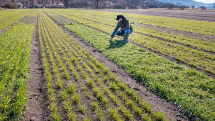 Press release : EU Farm to Fork and Biodiversity strategies