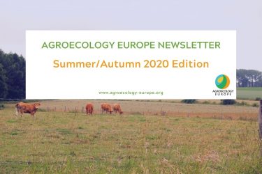 The Summer/Autumn 2020 newsletter of agroecology Europe