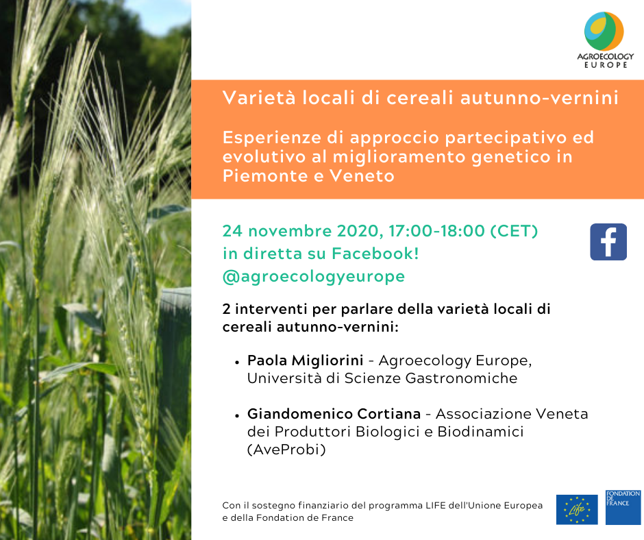 AEEU Webinar on “Local varieties of autumn-winter cereals. Experiences of participatory and evolutionary approach to genetic improvement in Piedmont and Veneto” held on Tuesday 24th of November 2020 in Italian on our Facebook page!