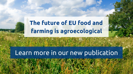 New policy paper co-signed with 25 European organisations: Agroecology as a framework to rethink EU policies for sustainable food systems!