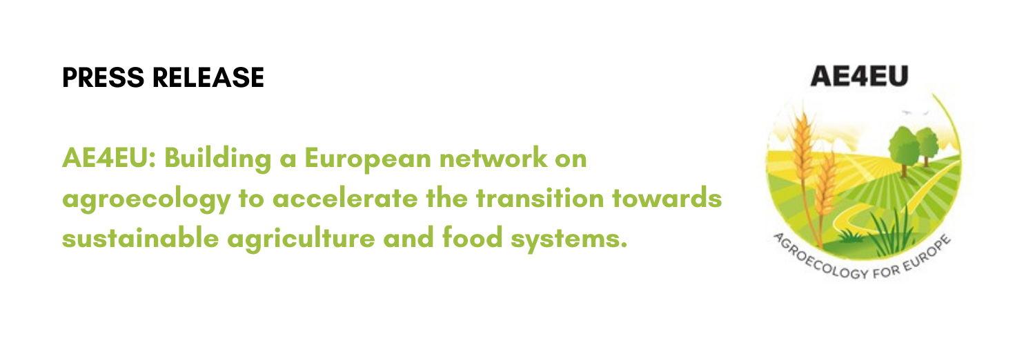 AE4EU Press Release: Building a European network on agroecology to accelerate the transition towards sustainable agriculture and food systems!