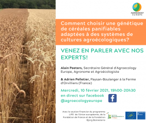 AEEU Webinar on how to choose a genetics of breadcereals adapted to agroecological systems held on Wednesday 10th of February 2021 in French on our Facebook page!