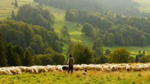 Europe needs more Farmers