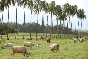 EU Green Deal: European Commission adopts new proposals to stop deforestation, innovate sustainable waste management and make soils healthy for people, nature and climate!