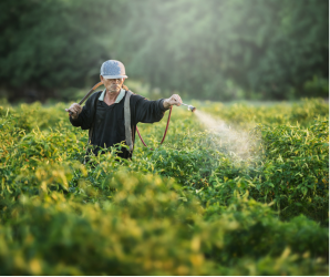 Open-letter: Ending blind spots on agro-chemicals – it is high time for data collection and publication fit to monitor progress towards the Farm to Fork targets