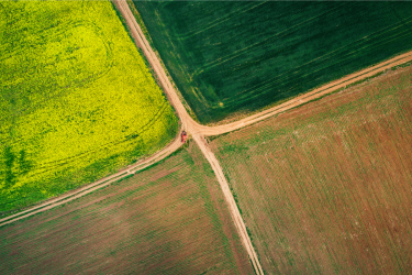 The European Parliament gives its green light to the CAP reform: Now, what is next?