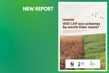 Will CAP eco-schemes be worth their name? A report to look at CAP Strategic Plans (CSPs) across 21 EU Members States