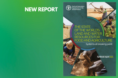 NEW FAO REPORT: “THE STATE  OF THE WORLD’S  LAND AND WATER  RESOURCES FOR  FOOD AND AGRICULTURE : Systems at breaking point “