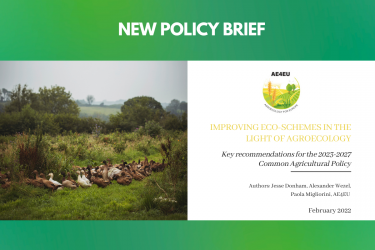 New Policy Brief : “IMPROVING ECO-SCHEMES IN THE LIGHT OF AGROECOLOGY”