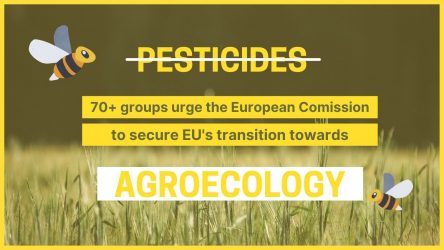 70+ organizations make 10 demands to be urgently taken on board by the Commission for its new pesticide regulation