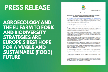 PRESS RELEASE: Agroecology and the EU Farm to Fork and Biodiversity strategies are Europe’s best hope for a viable and sustainable (food) future