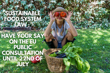 Sustainable Food System Law : Have your say on the EU Public consultation until the 21st of July