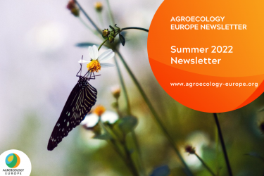 Agroecology Europe Summer Newsletter 2022