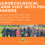 Read our event report: Agroecological Farm Visit with policy makers: How can agroecology help reduce pesticides use and improve farm viability and resilience?