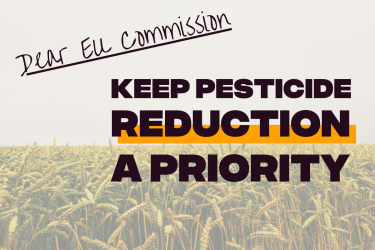 Joint Statement: The EU must make pesticide reduction a reality
