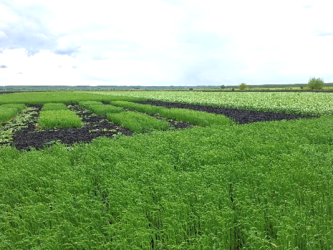 Serbian Agroecology Takes Centre Stage