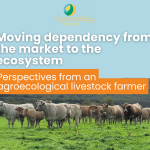 Moving Dependency from the Market to the Ecosystem