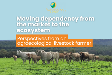Moving Dependency from the Market to the Ecosystem