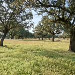 Making Agroecology Visible: The Extremadura Experience