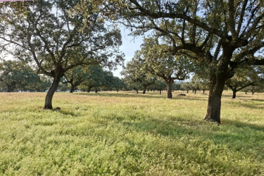 Making Agroecology Visible: The Extremadura Experience