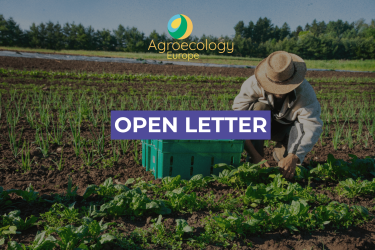 Keep Organic Farming and Agroecological Transitions at the Heart of the CAP Post-2027